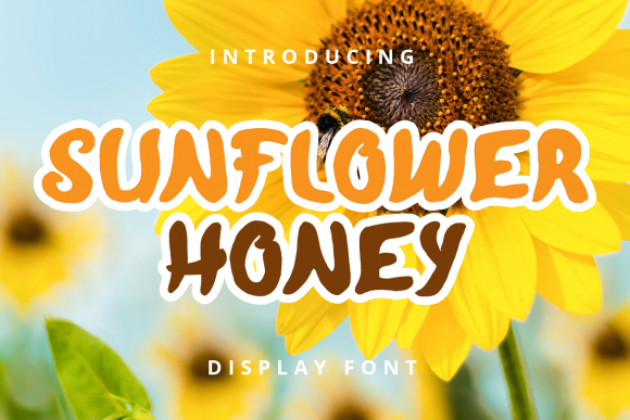 Why Sunflower Honey Is the Quirky Display Font Your Brand Needs